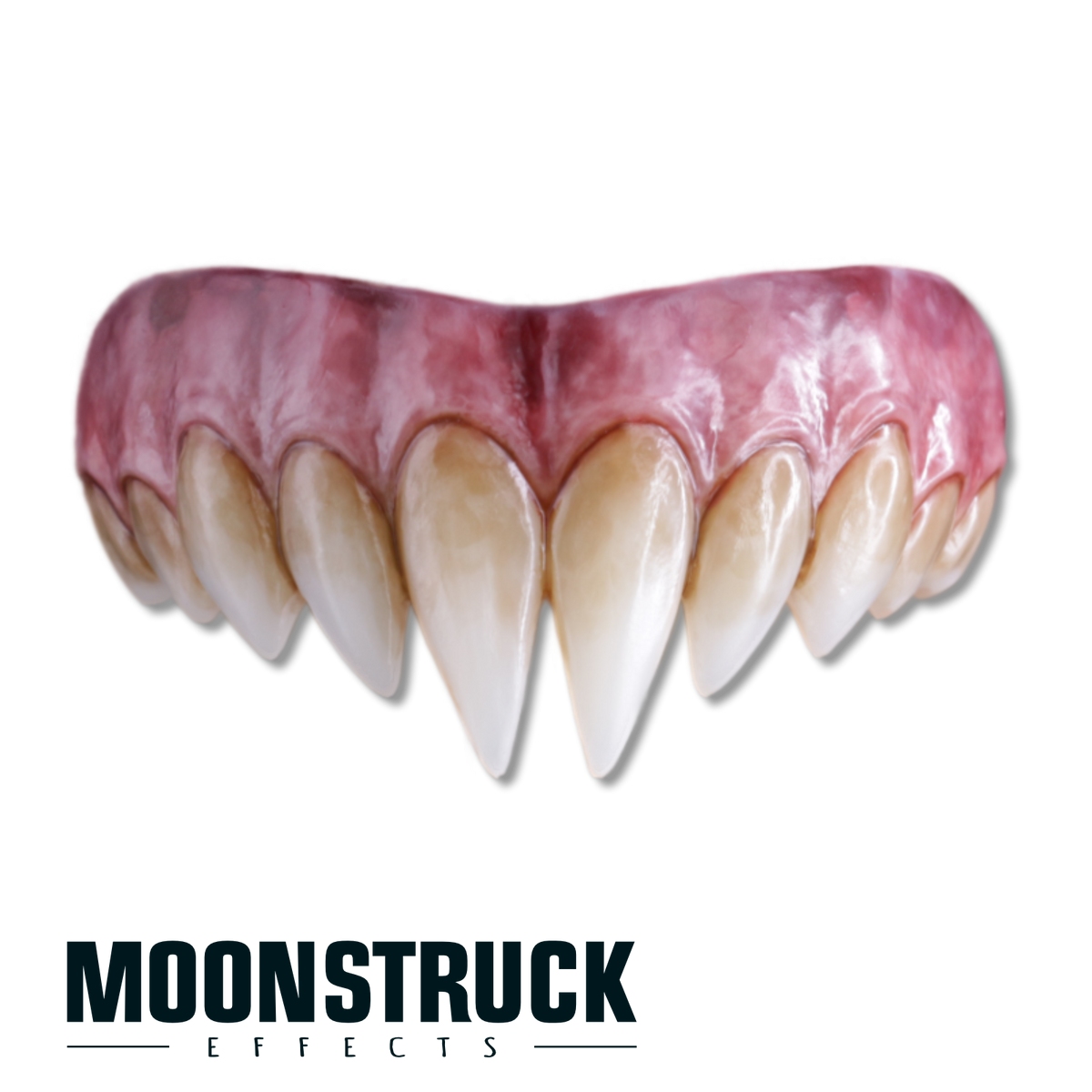 Feral Damballa upper FX teeth with long central fangs, pointed side teeth, warm staining and mauve-pink gums