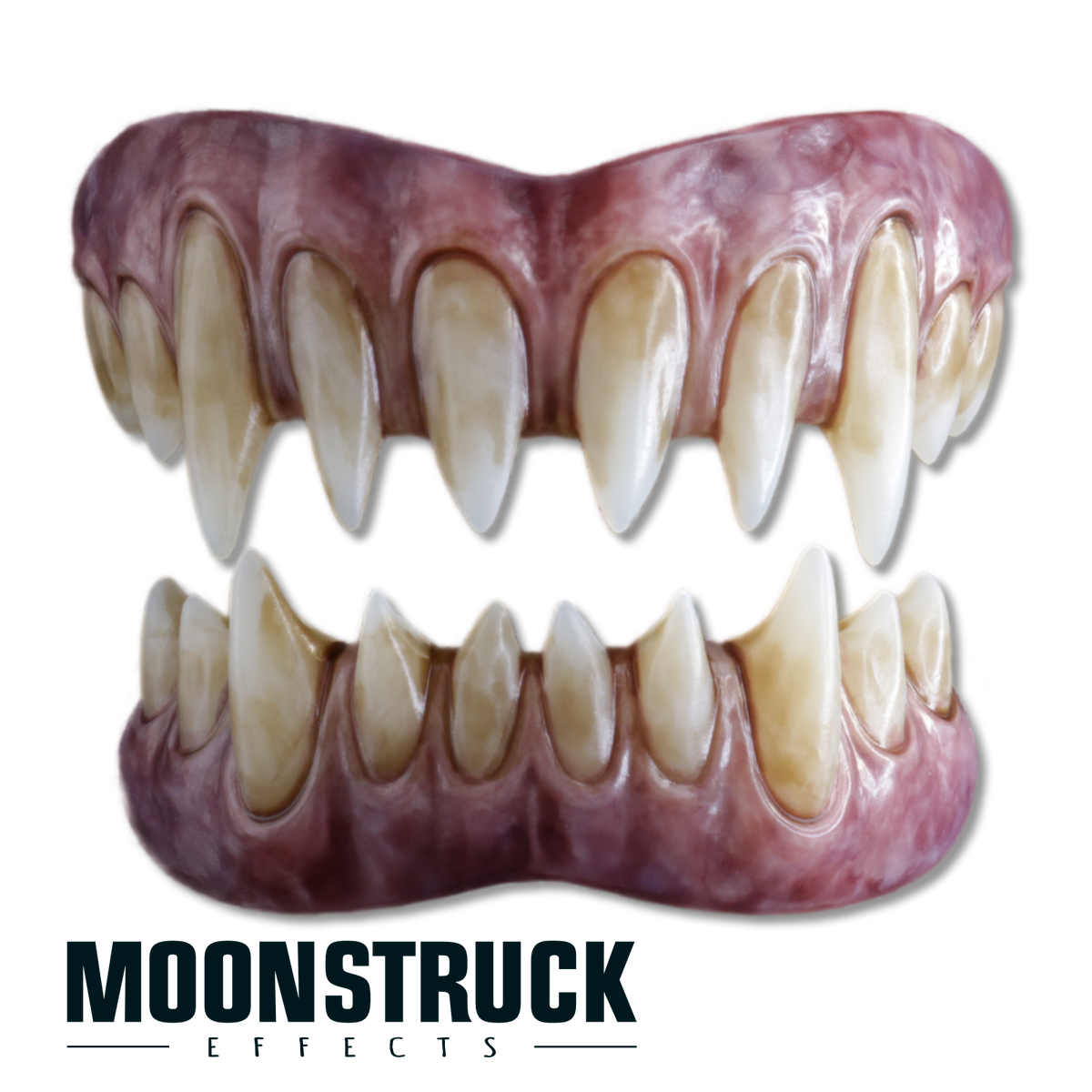 Feral Saphira full set with long pointed front teeth and mottled dark gums